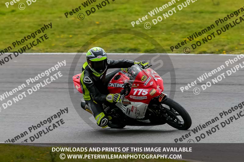 PJ Motorsport 2019;anglesey no limits trackday;anglesey photographs;anglesey trackday photographs;enduro digital images;event digital images;eventdigitalimages;no limits trackdays;peter wileman photography;racing digital images;trac mon;trackday digital images;trackday photos;ty croes